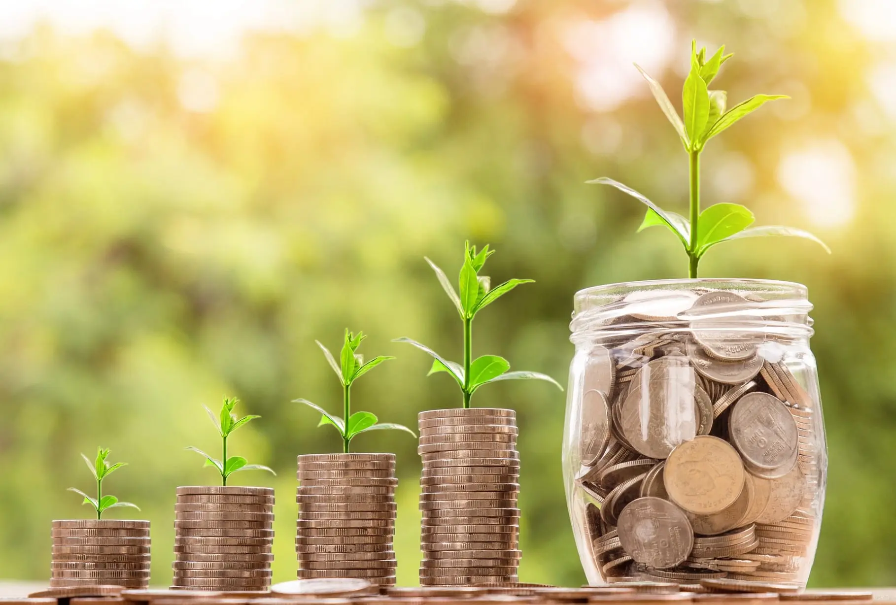imagen de cuatro pilas de monedas y un tarro de cristal con plantas creciendo sobre ellas simulando el fruto de la inversión