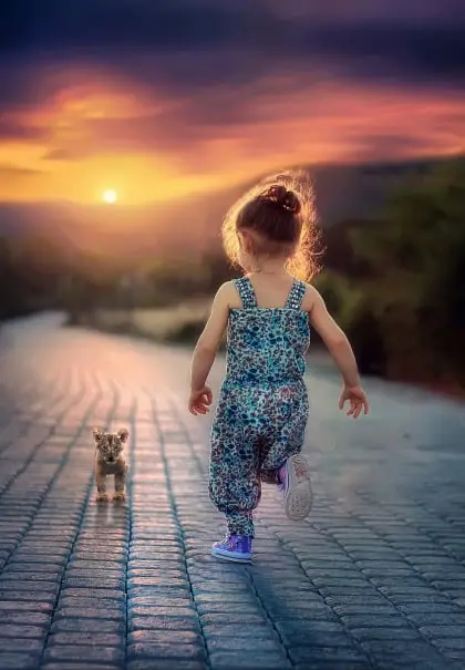 Perrito
